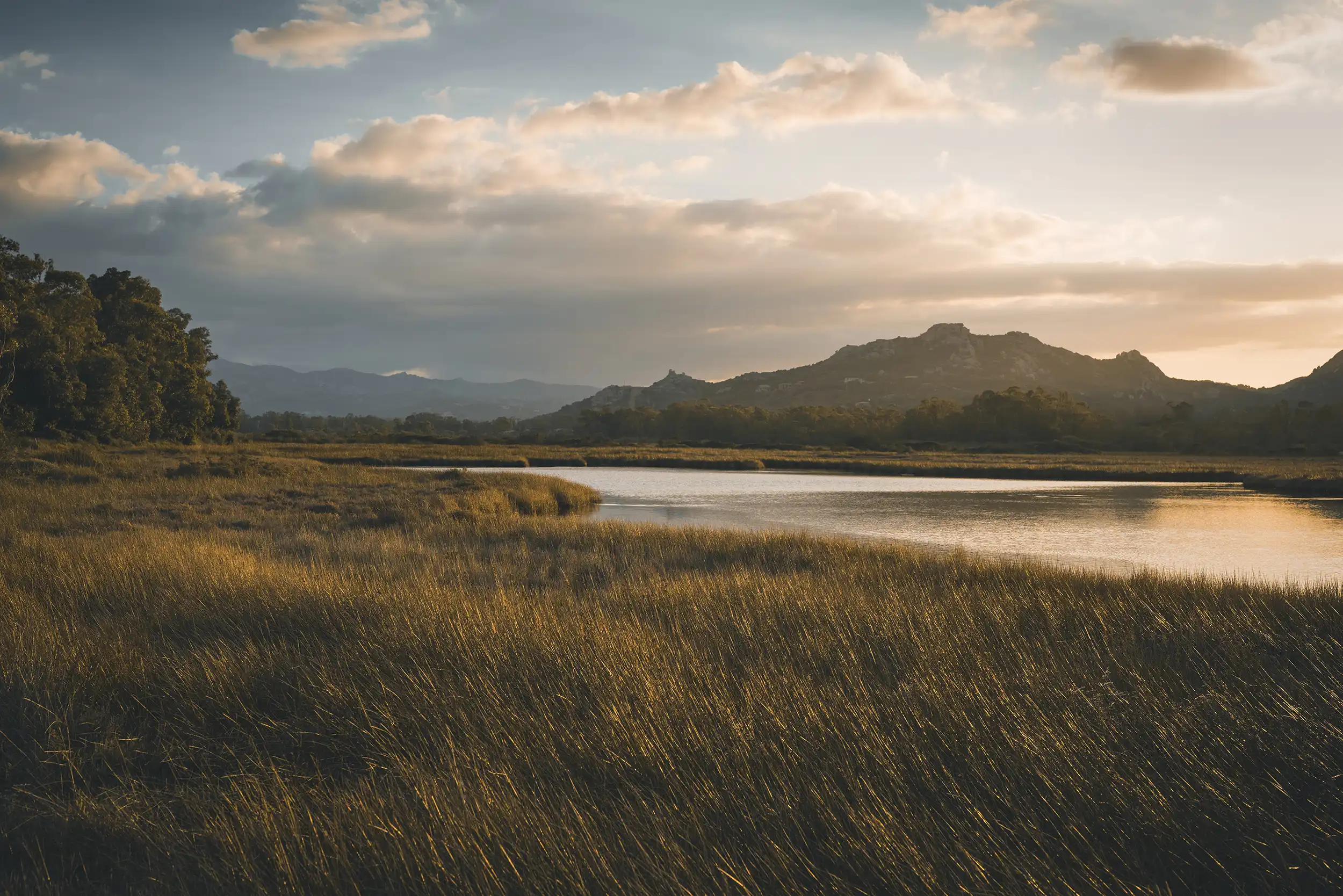 Open meadow with mountains in the background and a stream to the right side
